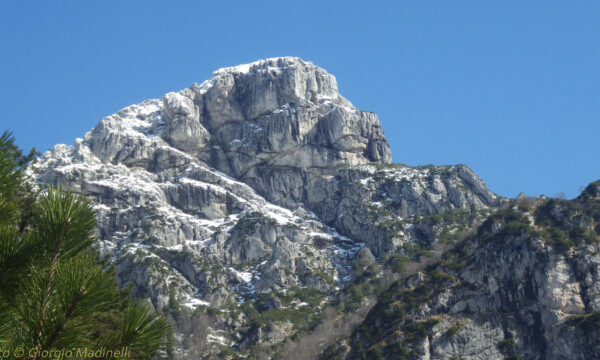 Cenglòn dai Salvadis a Cima Cappena – Monte Frascola e Aquila di Tramonti.
